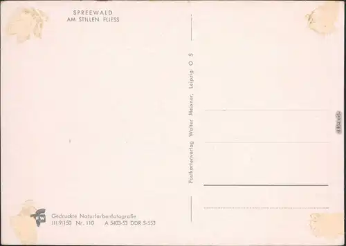 Lübbenau (Spreewald) Lubnjow Landschaftsgebiet: Spreewald Fliess 1953