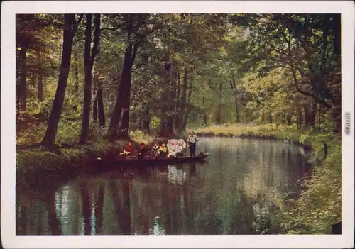 Lübbenau (Spreewald) Lubnjow Landschaftsgebiet: Spreewald - im Hochwald 1953