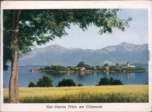 Ansichtskarte Prien Blick auf den See und die Stadt 199