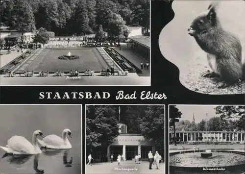 Ansichtskarte Bad Elster Kurpark, Marienquelle, Wandelhalle 1967