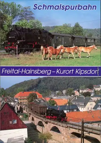 Ansichtskarte  Schmalspurbahn Freital-Hainsberg - Kurort Kipsdorf 1995