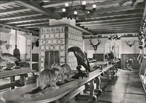 Grillenburg-Tharandt Technische Universität Dresden   Jagdsaal 1972