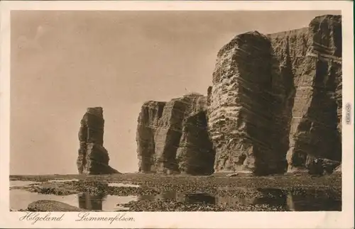 Ansichtskarte Helgoland (Insel) Lummenfelsen 1932