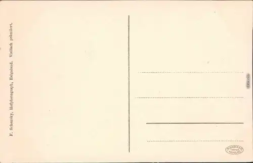 Ansichtskarte Helgoland (Insel) Lummenfelsen 1932