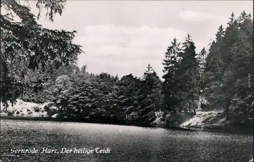 Ansichtskarte Gernrode-Quedlinburg der heilige Teich 1958
