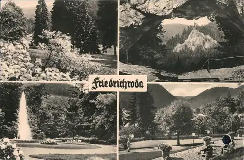 Ansichtskarte Friedrichroda Park, Springbrunnen, Wald, Felsen mit Loch 1962