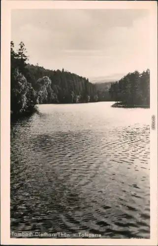 Foto Tambach-Dietharz Gothaer Talsperre 1954 Privatfoto