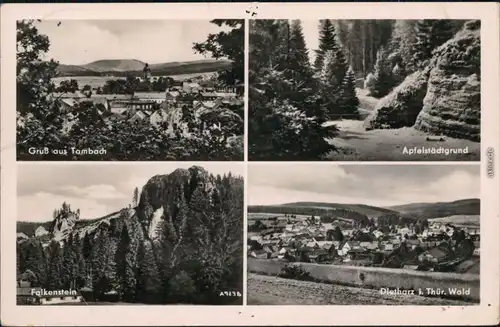 Tambach-Dietharz Teilansicht, Apfelstädtgrund, Falkenstein, Panorama 1956