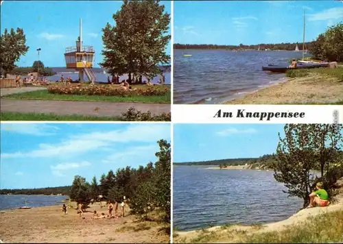 Ansichtskarte Groß Särchen-Lohsa Łaz Knappensee Badestrand g1982