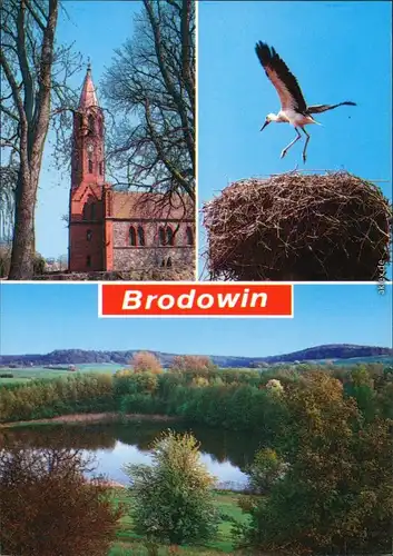 Ansichtskarte Brodowin Kirche, Storchennest und Wesensee 1995