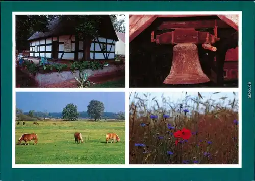 Prieros-Heidesee Heimathaus, Glockenstuhl, Pferde auf der Koppel, Wiese 1995