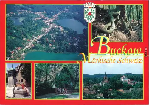 Buckow (Märkische Schweiz)  , Wurzelfichte  Markt, Brecht-Weigel-Haus 1995