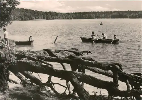 Ansichtskarte Neuglobsow-Stechlin Stechlinsee 1974