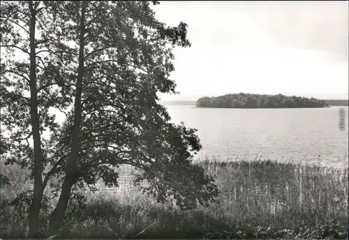 Rheinsberg (Mark) Blick auf den Rheinsberger See mit der Remus-Insel 1979