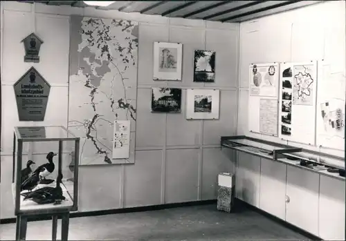 Ansichtskarte Stendenitz-Neuruppin Waldmuseum 1973