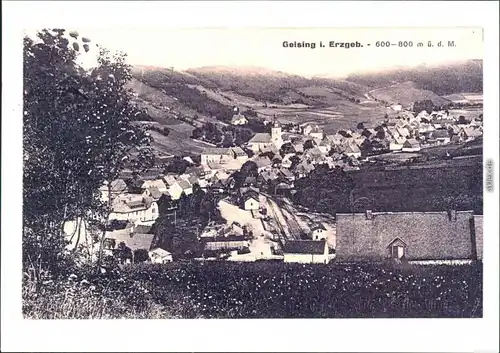 Ansichtskarte Geising-Altenberg (Erzgebirge) Panorama - Repro 1980