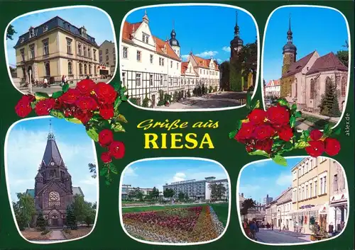 Ansichtskarte Riesa Kirche, Fußgängerzone, Park, Geschäfte 1999