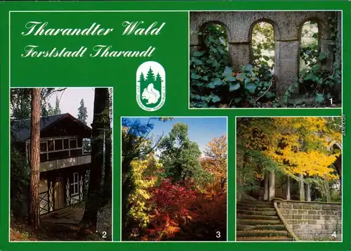 Tharandt Impressionen aus der Forststadt, Schweizer Haus, Herbststimmung 1995