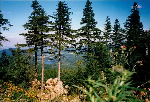 Ansichtskarte Blauenthal-Eibenstock Panorama 1995