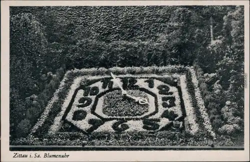 Ansichtskarte Zittau Blumenuhr 1955