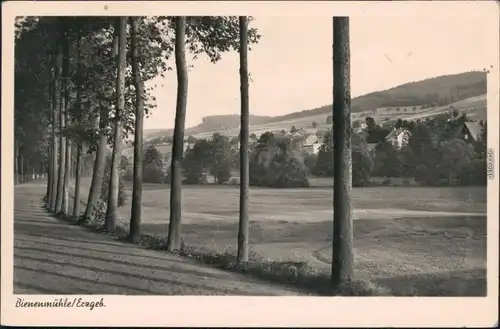 Ansichtskarte Rechenberg-Bienenmühle Allee mit Panorama 1956