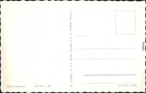 Bad Schandau Blick von Carolafelsen auf Schrammsteine u. Falkenstein 1963