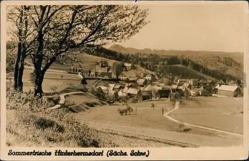 Hinterhermsdorf-Sebnitz Panorama-Ansichten mit Blick zur Kirche 1952