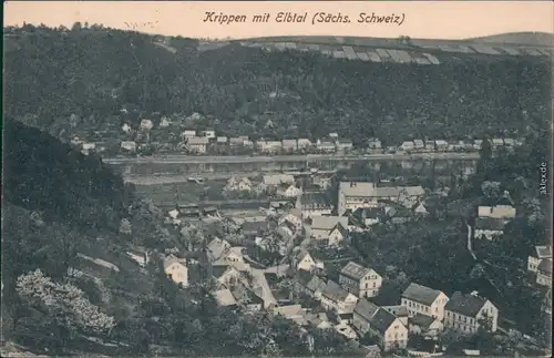 Ansichtskarte Krippen-Bad Schandau Panorama 1931