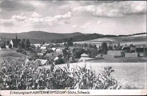 Ansichtskarte Hinterhermsdorf-Sebnitz Panorama mit Kirche und Feldern 1961