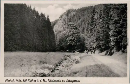 Ansichtskarte Oberhof (Thüringen) Räuberstein im Silbergraben 1920