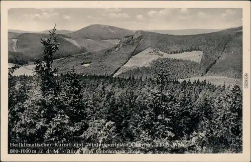 Ansichtskarte Oberhof (Thüringen) Panorama-Ansicht mit Fernblick 1920