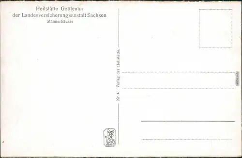 Bad Gottleuba-Bad Gottleuba-Berggießhübel Heilstätten - Männerhäuser 1929