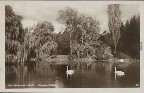 Ansichtskarte Bad Liebenstein Elisabeth-Park - Schwanenteich 1930