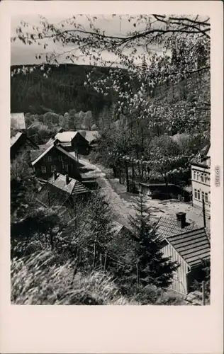 Ansichtskarte Oberhof (Thüringen) Straße 1955