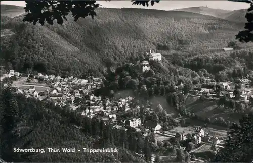 Ansichtskarte Schwarzburg Trippsteinblick 1965