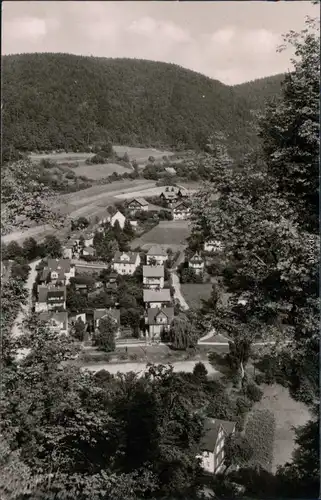 Ansichtskarte Schwarzburg Blick auf den Ort 1962
