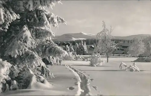 Ansichtskarte Oberhof (Thüringen) Blick zum Schneekopf 1960