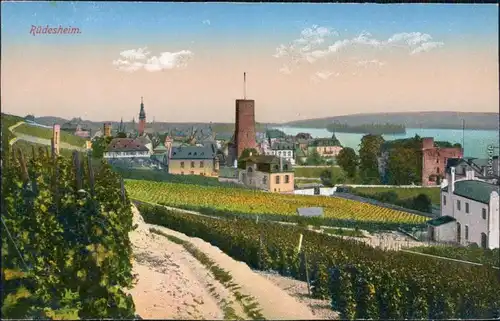 Ansichtskarte Rüdesheim (Rhein) Blick auf die Stadt 1915