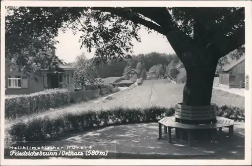 Ansichtskarte Friedrichsbrunn Feld und Park 1970