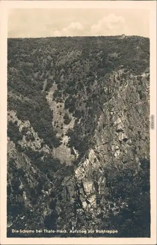 Ansichtskarte Thale (Harz) Roßtrappfelsen 1954