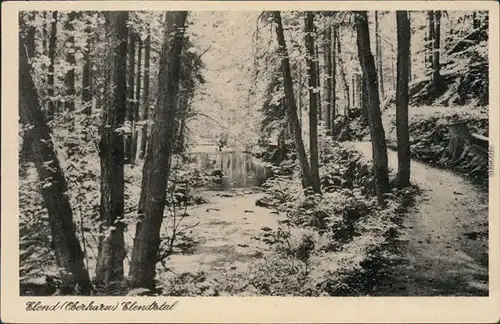 Ansichtskarte Elend (Harz) Elendstal 1965