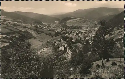 Ansichtskarte Pappenheim Panorama-Ansicht 1962