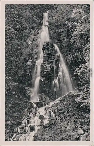 Ansichtskarte Brotterode-Trusetal Trusetaler Wasserfall 1955