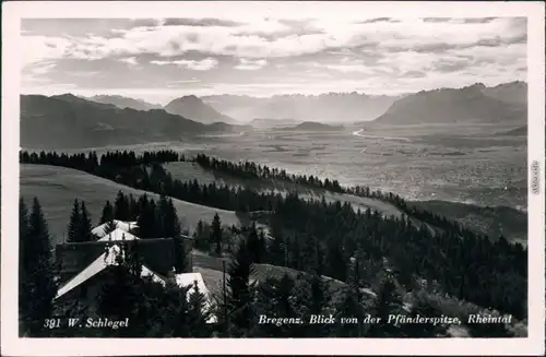 Ansichtskarte Bregenz Hotel, Rheintal, Schweizer Berge 1930