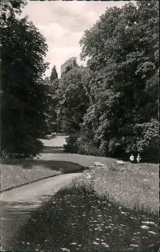 Ansichtskarte Badenweiler Im Kurpark 1960