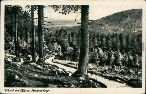 Ansichtskarte Elend (Harz) Baremberg 1956