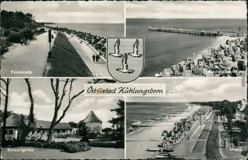 Ansichtskarte Kühlungsborn Promenade, Strand, Konzertgarten 1958