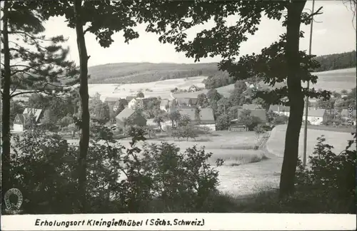 Ansichtskarte Kleingießhübel-Reinhardtsdorf-Schöna Blick auf den Ort 1963