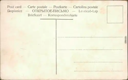 Ansichtskarte Moritzburg Fütterung der Wildschweine 1912