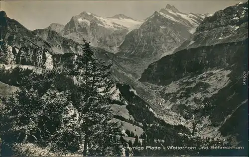 Ansichtskarte Grindelwald Schynige Platte Wetterhorn und Schreckenhorn 1931 
